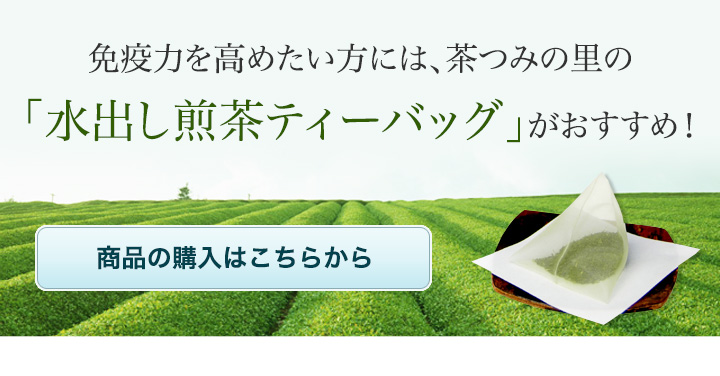 免疫力を高めたい方には、茶つみの里の「水出し煎茶ティーバッグ」がおすすめ！