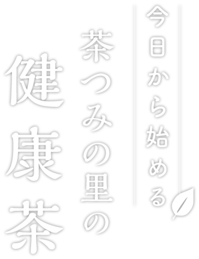 今日から始める 茶つみの里の健康茶