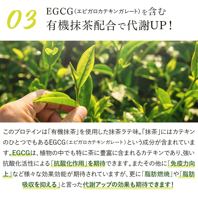 EGGを含む有機抹茶配合で代謝UP