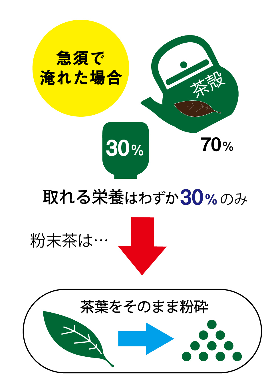 急須で入れた場合摂れる栄養は30％のみ