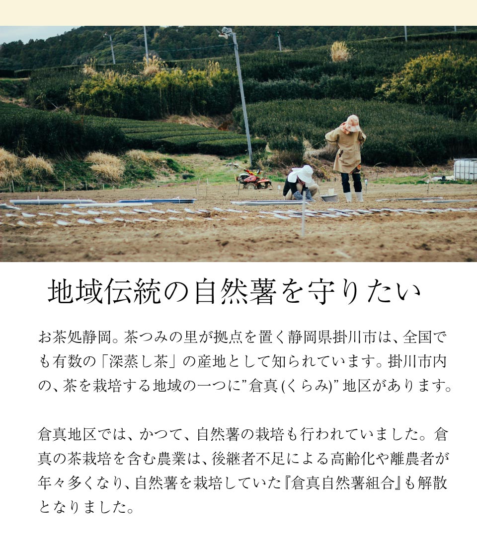 伝統の自然薯
