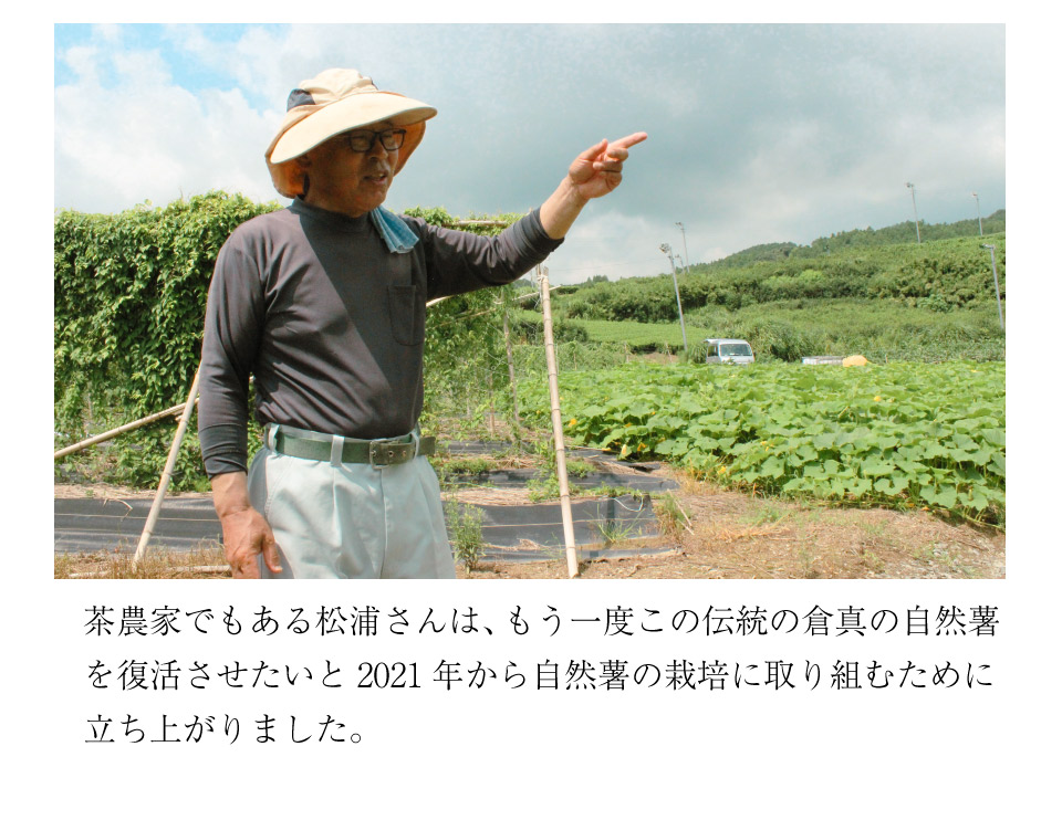 倉真の自然薯を復活させたい