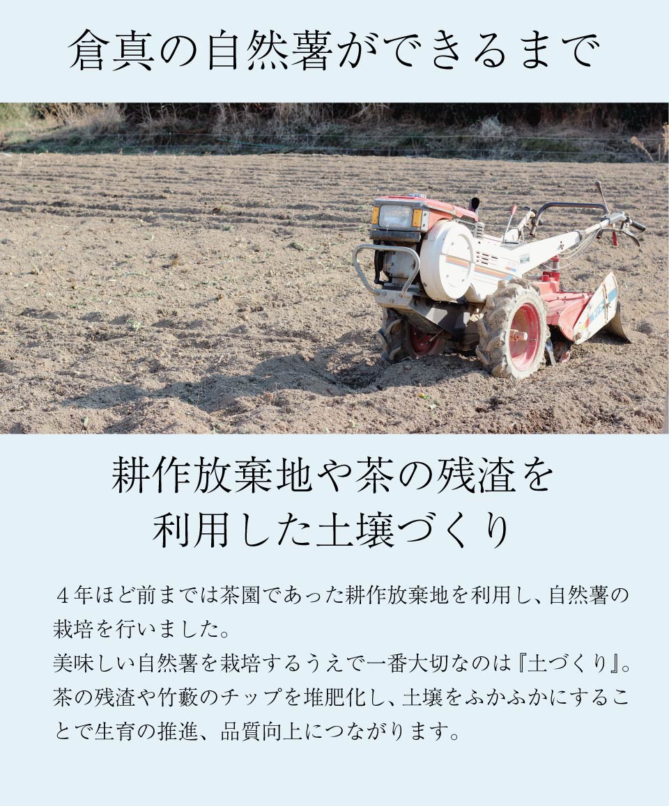 倉真の自然薯ができるまで