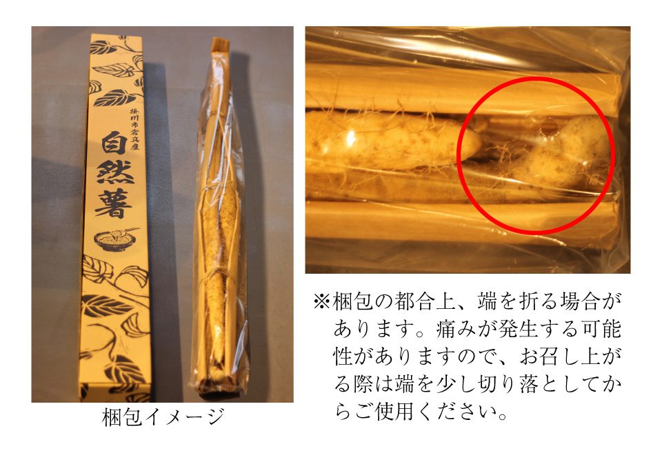 梱包イメージ