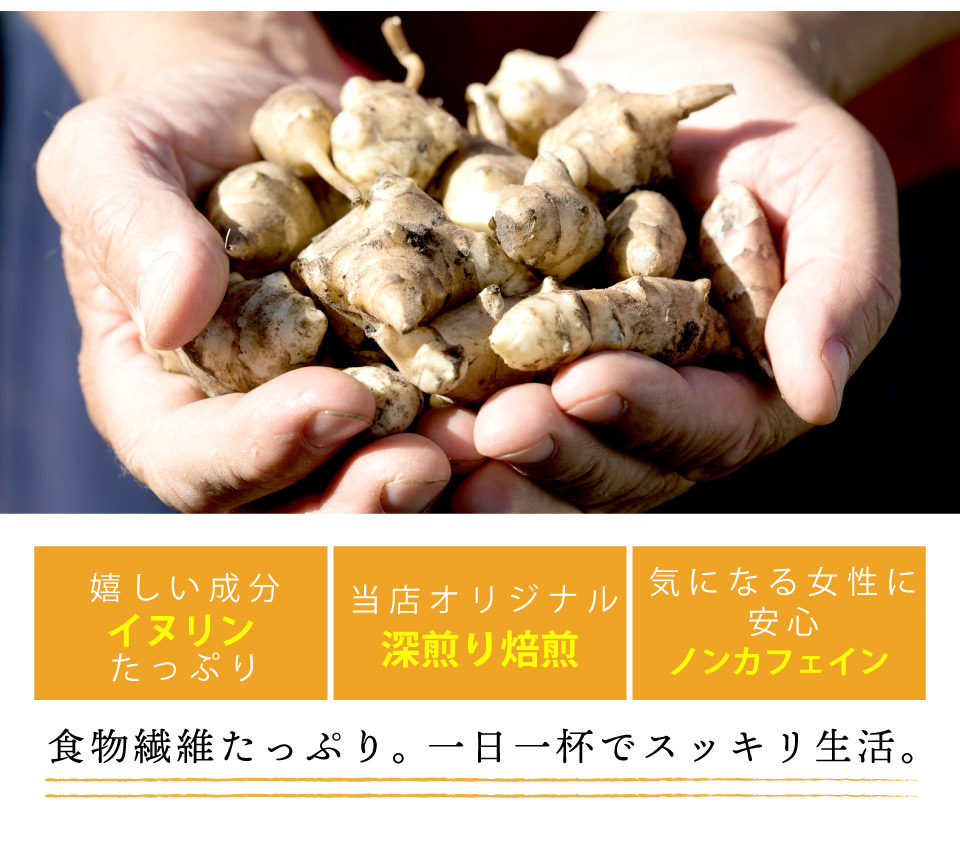 送料無料】国産 菊芋茶 ティーバッグ ( 2g×50包入)