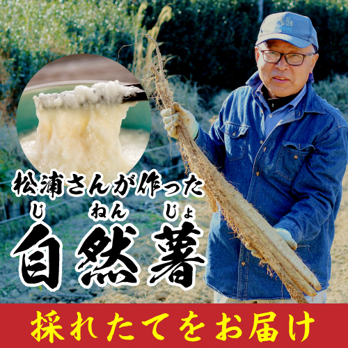 自然薯