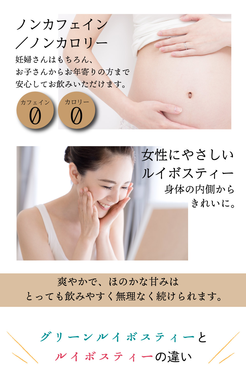 オーガニック グリーンルイボスティー ティーバッグ (2g×100包)